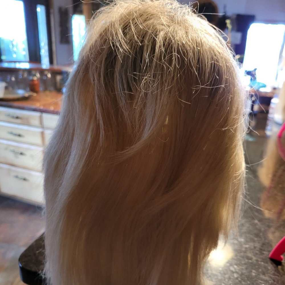 Wig